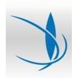 Bluefiremegacoaster emoji
