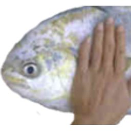 Fish Pat emoji