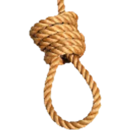 Noose emoji