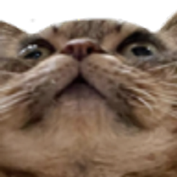 Catooh emoji