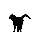 Blackcat E emoji