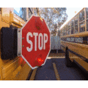 Animated Stop emoji
