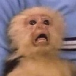 Monkeyscarede emoji
