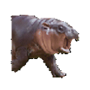 Moo Deng Screaming emoji