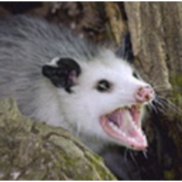 Angeeopossum emoji