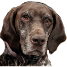 Jade Slack Transparent emoji