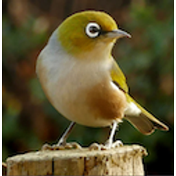 Silvereye emoji