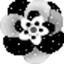 Flower Bw emoji
