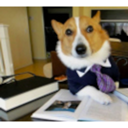 Lawyer Dog emoji