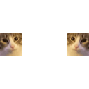 Meowa emoji