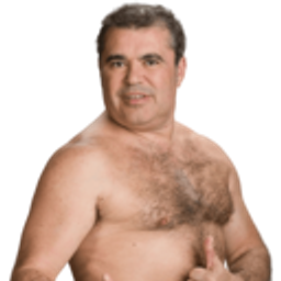 Toyapproves emoji