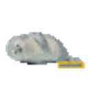 Sealook Slap emoji