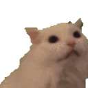 Myaaa emoji