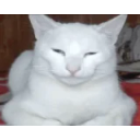 Mewing emoji