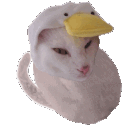 Hunting Cat Bean emoji