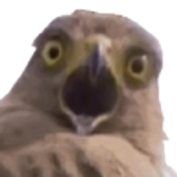 Shockedbirb emoji