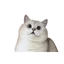 Woah emoji