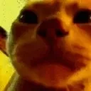 Ravecat emoji