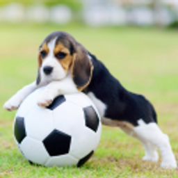 Soccer Dog emoji
