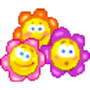3 Flowers emoji