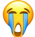 Sob2 emoji
