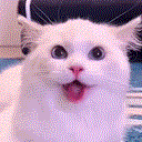 Cat Tongue emoji