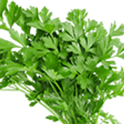 Cilantro emoji