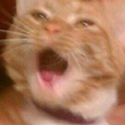 Catyell emoji