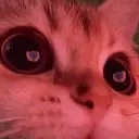 Catwink emoji