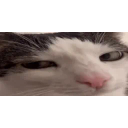 Wink emoji