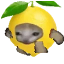 Lemoncatrun emoji
