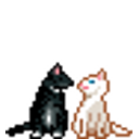Cats Kiss emoji