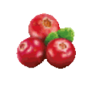 Cranberries Spin emoji