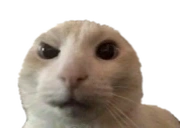 Ayooooo emoji