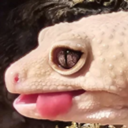 Geckolick E emoji
