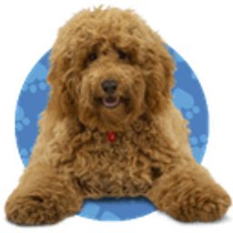 Waffle The Wonder Dog emoji