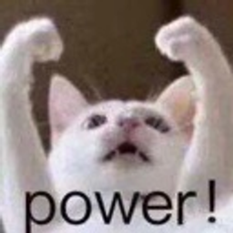 Catpower emoji