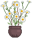 Chamomile emoji