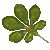Chestnut Leaf emoji