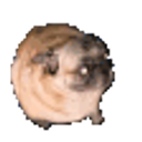 Pug Dance emoji