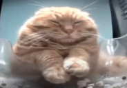 Wih emoji
