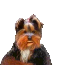 Bbnotl emoji