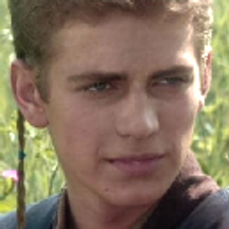 Anakin emoji