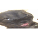 Watafak emoji