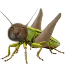 Buhg emoji