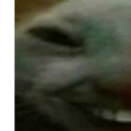 Xdd 1 emoji