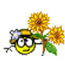 Sunflowers emoji