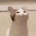 Yapcat emoji
