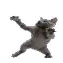 Catdance emoji