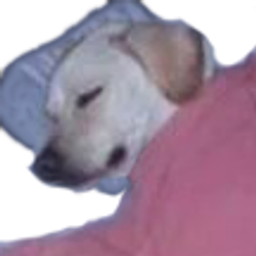 Dog Sleep emoji